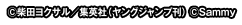 c柴田ヨクサル／集英社（ヤングジャンプ刊） cSammy